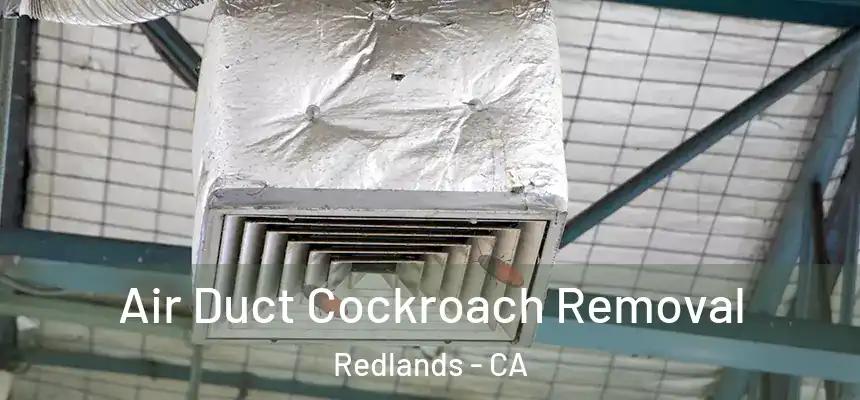 Air Duct Cockroach Removal Redlands - CA
