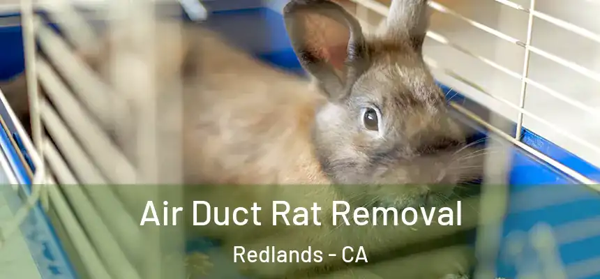 Air Duct Rat Removal Redlands - CA