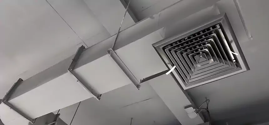 Our Pest Removal From Ducts Services in Redlands, CA