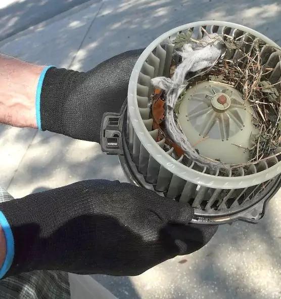 About Air Duct Rat Removal in Redlands, CA