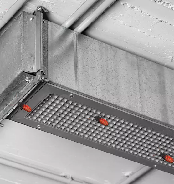 Affordable Insect Removal from Air Ducts in Redlands, CA