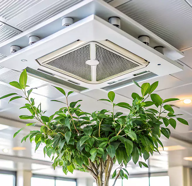 Why Homeowners & Businesses Trust Us in Redlands, CA?